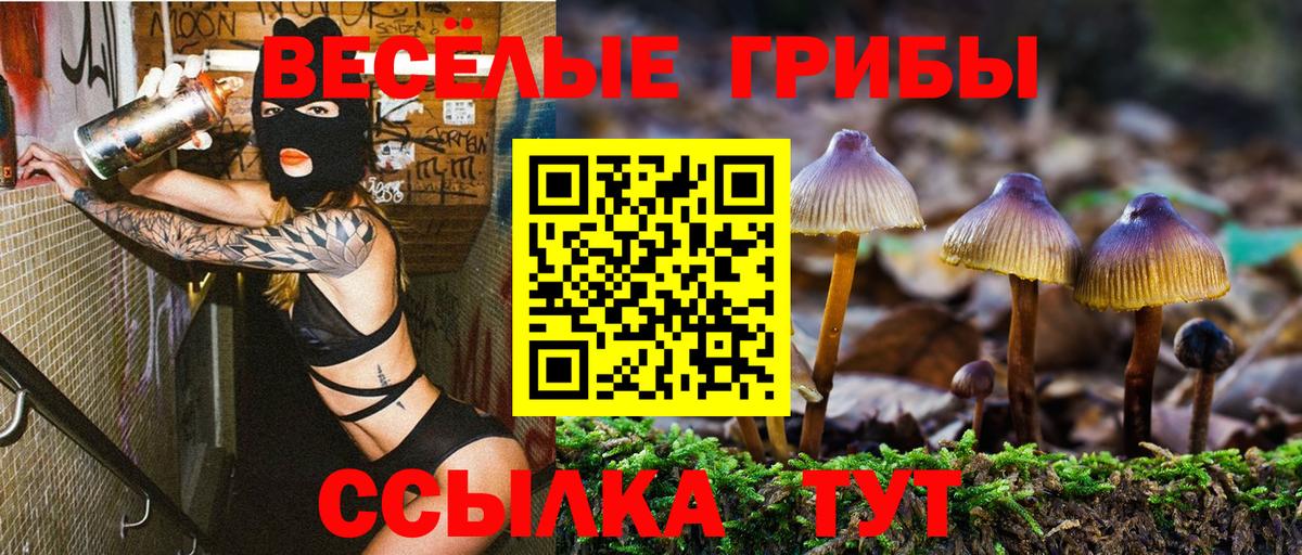 Галлюциногенные грибы GOLDEN TEACHER Ирбит