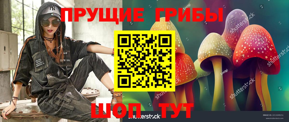 Псилоцибиновые грибы Psilocybine cubensis  Псилоцибиновые грибы Psilocybine cubensis  как найти   Ирбит  Вход с VPN 